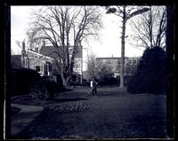 Lawn, [Deshler-Morris House] 4782 Main St. looking from elm tree down lawn [graphic].