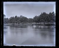 Sunset L. looking West, [Asbury Park, NJ] [graphic].