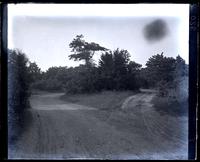Main road in park & road to our back gate, [Avocado, Sea Girt, NJ] [graphic].