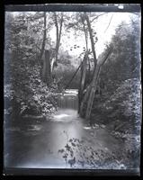 Fall in ravine, Allaire, [NJ]