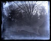 View in our garden, [Deshler-Morris House, 5442 Germantown Avenue], looking up from kitchen [graphic].