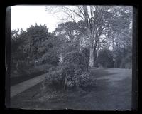 Garden from top of yard. [Deshler-Morris House, 5442 Germantown Avenue] [graphic].