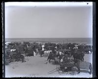 Ocean Day, from bath-house, [Sea Girt, NJ] graphic].