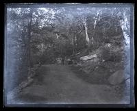 Iron Tank, Plaaterkill [sic] Road, from S. [Catskills] [graphic].