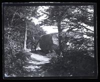 Big rock on Overlook Mt. Sam [Morris] by rock. [Catskills, NY] [graphic].