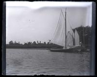 Boats at Union landing from Royal Star, [Manasquan River, NJ] [graphic].