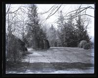 Our garden at home. Looking up from box tree. [Deshler-Morris House, 5442 Germantown Avenue] [graphic].