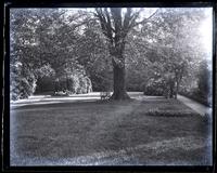 Looking up garden from centre of yard, [Deshler-Morris House 5442 Germantown Avenue] [graphic].