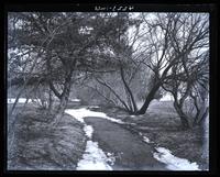 On "Serpentine Walk" to Pres[ident] Chase's, looking toward steps, [Haverford College] [graphic].