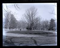 Looking S. from S.W. corner of Founder's Hall, [Haverford Class of 18]86's Junior Day [graphic].