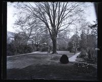Looking up garden at home from end of stone path. [Deshler-Morris House, 5442 Germantown Avenue] [graphic].