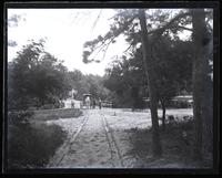 Looking toward mill & pond from N. from road to Spring Lake, [Sea Girt, NJ] [graphic].