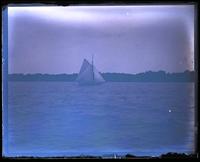 Sloop in N.Y. Bay [graphic].