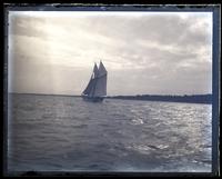 Schooner in N.Y. Bay [graphic].