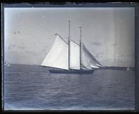 Yacht "Tidal Wave" in N.Y. Bay. From Iron S. Boat Co.'s ferries [graphic].
