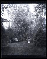 Bird cherry tree at top of our garden, [Deshler-Morris House, 5442 Germantown Avenue] [graphic].