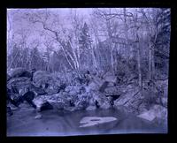 Falls of French Creek, [Elverson, PA] [graphic].