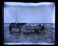 Painter's [Shem Pearce and his brother] horse & wagon in front of Avocado & his ladder up flag pole, [Sea Girt, NJ] [graphic].