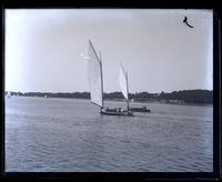 Sanford Bell & "Gertie" in race on [Mana]squan R[iver], [Manasquan, NJ] [graphic].