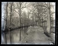 Down race bank [of Brandywine], back of cemetery, [Wilmington, DE] [graphic].