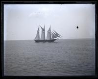 3 masted schooner from "Taurees" on way to N.Y. [Sea Girt, NJ] [graphic].