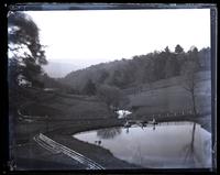 View S. from Forest Inn, [Cedar Creek, VA] [graphic].