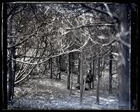 Sam Morris in Cedar bower Avocado, [Sea Girt, NJ] [graphic].