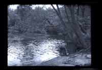 [Man on the riverbank], Browns Mills, [NJ] with Photo[graphic] Society [graphic].