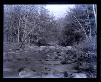 View on French Creek, [Elverson, Pa.], below the falls. With [George] Vaux on banks [graphic].