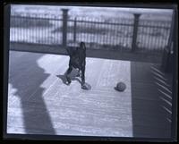 Dog [Bonnie] on front porch with ball, [Avocado, Sea Girt, NJ] [graphic].