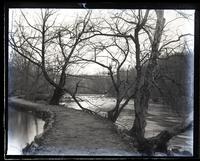 On Brandywine looking up from below 3rd dam, on race bank, [Wilmington, DE] [graphic].