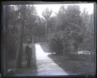 Walk in garden at Par la ville, Cos. Ja[me]s E. Perot in foreground, [Bermuda] [graphic].