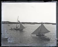 Finish of Dinghey race at Princess Hotel, [Bermuda] [graphic].