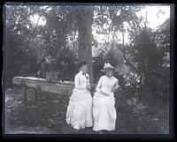 Alice Shipley & Bessie in woods near overflow, [Sea Girt, NJ] [graphic].