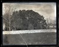 Old yew trees, Haddon house from field to E., showing old wall & distillery, [Haddonfield, NJ] [graphic].