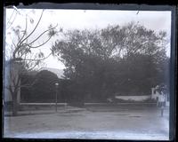 Par-la-ville. House and India Rubber tree from Reid St., [Bermuda] [graphic].