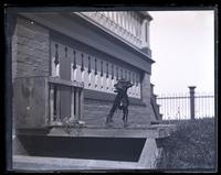 [Dog Bonnie at top of steps, side of Avocado, Sea Girt, NJ] [graphic].