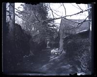 In our carriage, road [graphic].