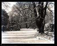 Snow-scene. Up garden from Little Parlor window on porch, [Deshler-Morris House, 5442 Germantown Avenue] [graphic].