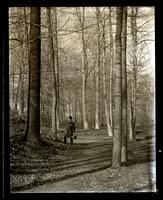 Path in Rain Woods. Uncle Sam[ue]l in foreground. [Olney, PA] [graphic].