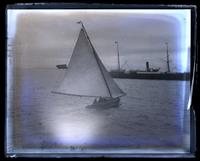 The Iris, from the Trinidad, [Bermuda] [graphic].