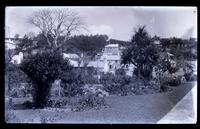 View in Public Garden, St. George's, looking toward Monkey Puzzle tree & date palms, [Bermuda] [graphic].