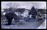 View in Public Garden, St. George's, looking toward Monkey Puzzle tree & date palms, [Bermuda] [graphic].