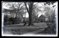 Elm tree in middle of our garden. Mother sitting under it. [Deshler-Morris House, 5442 Germantown Avenue] [graphic].