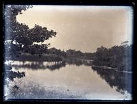 View down Spring L[ake] from near Osborn's stable, [NJ] [graphic].