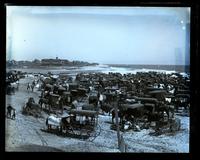 Jersey Wash Day, [Sea Girt, NJ] [graphic].