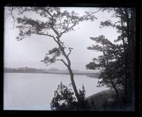 Looking out from woods on S. shore of pond above R[ail]R[oard], Villa Park & Spring Lake in backgr[oun]d, [Sea Girt, NJ] [graphic].