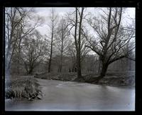 Meadow from under bridge over Valley Creek, near Valley Forge, [PA] [graphic].