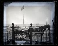 E[lizabeth] C[anby] M[orris]'s horse "Robin" & cart at front fence, Avocado, [Sea Girt, NJ] [graphic].