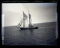 Sch[oone]r Fred C. Holden in N.Y. Bay, [NJ] [graphic].